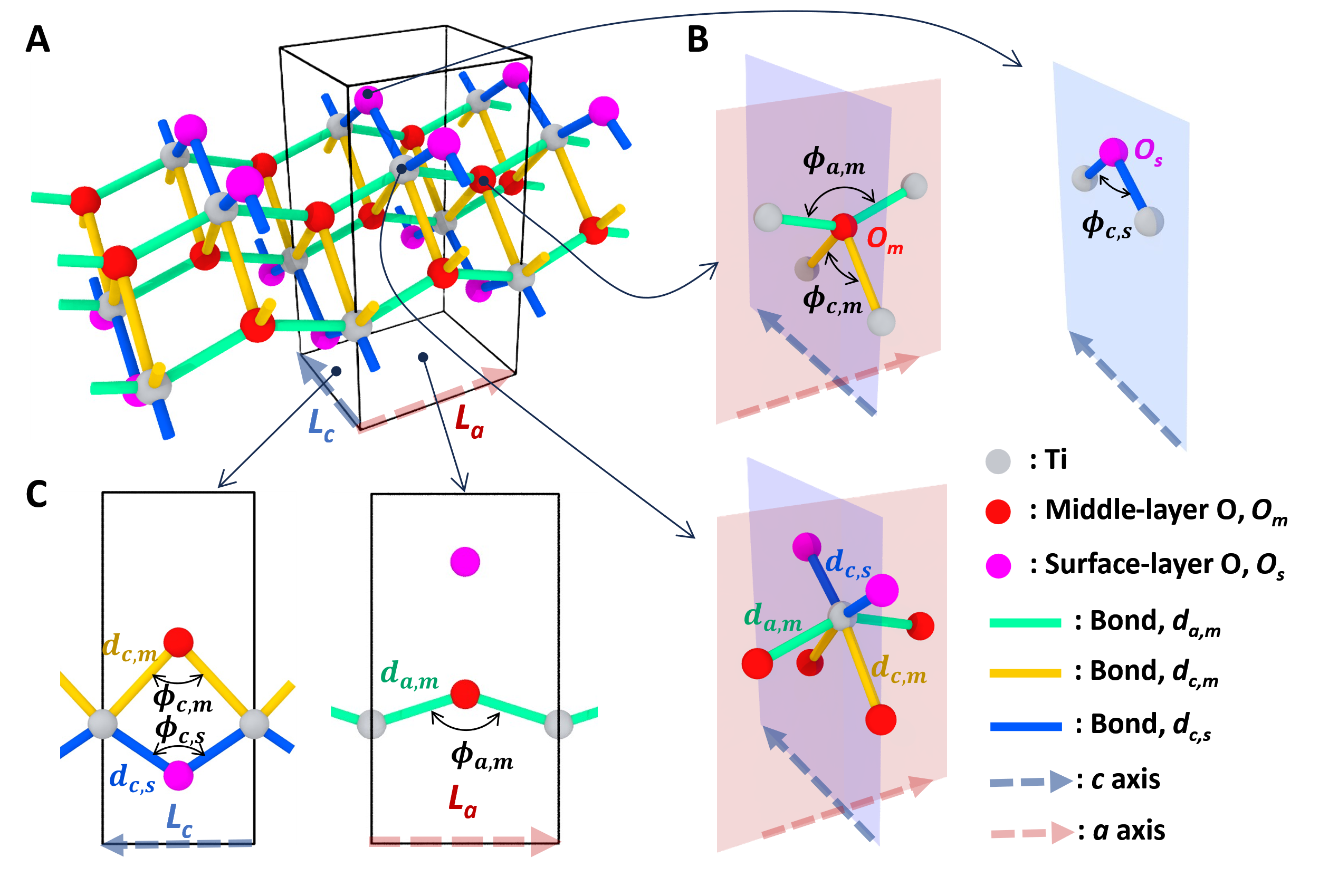Ti–O bond networks along the a and c axes of monolayer titania, with bond and angle definitions.